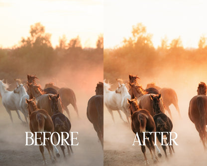 K-1 - Film inspired Preset Pack