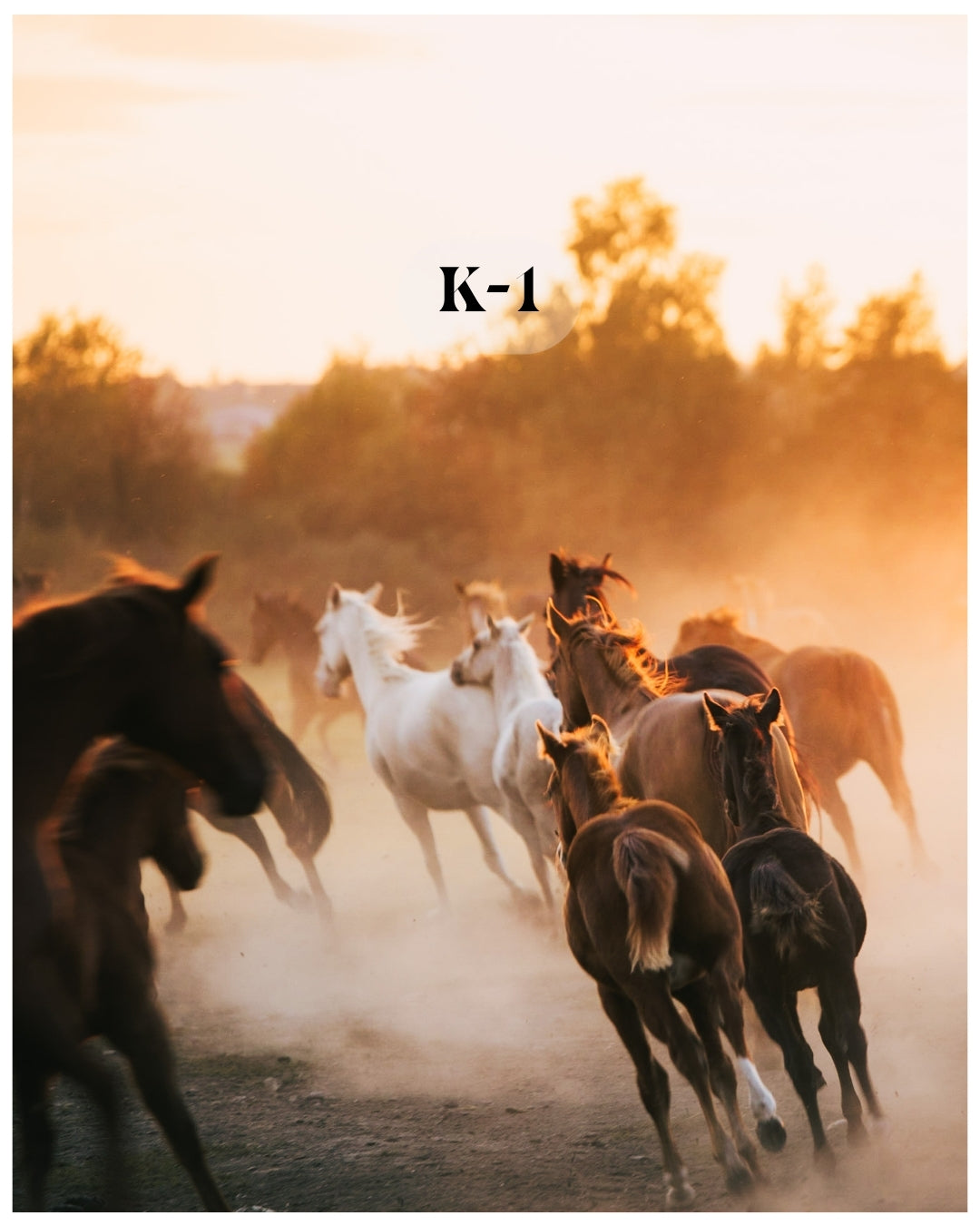 K-1 - Film inspired Preset Pack